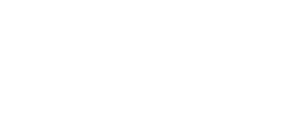 Prodigy Disc logo