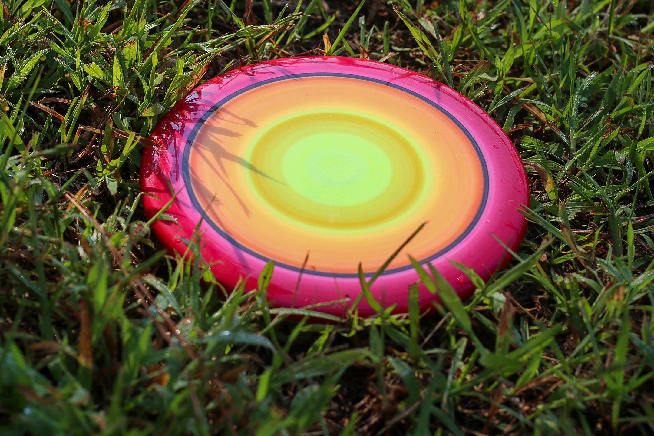 How to Dye Disc Golf Discs?