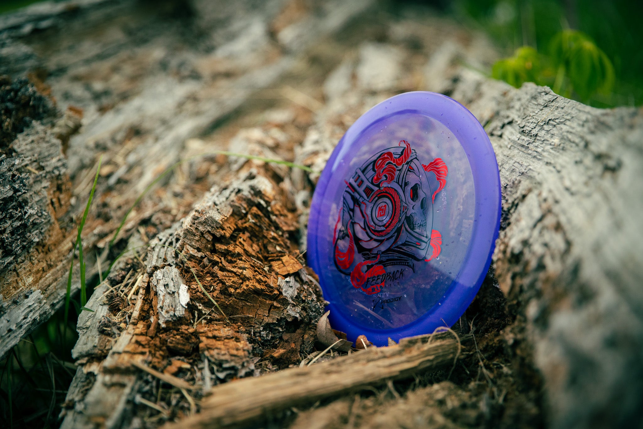 kevin jones feedback fairway driver disc golf